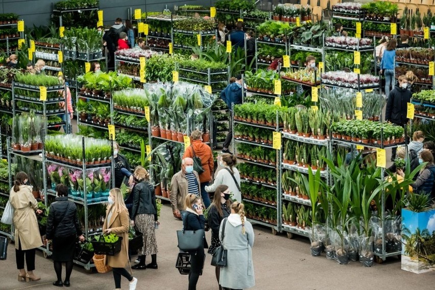 W ten weekend w Bydgoszczy zrobi się zielono za sprawą...