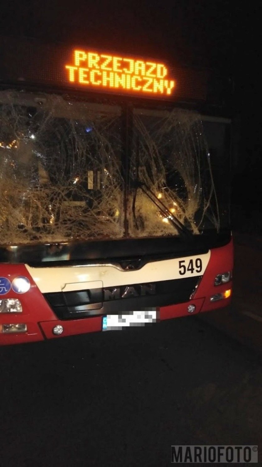 Sarna skasowała przód autobusu miejskiego w Opolu Malinie
