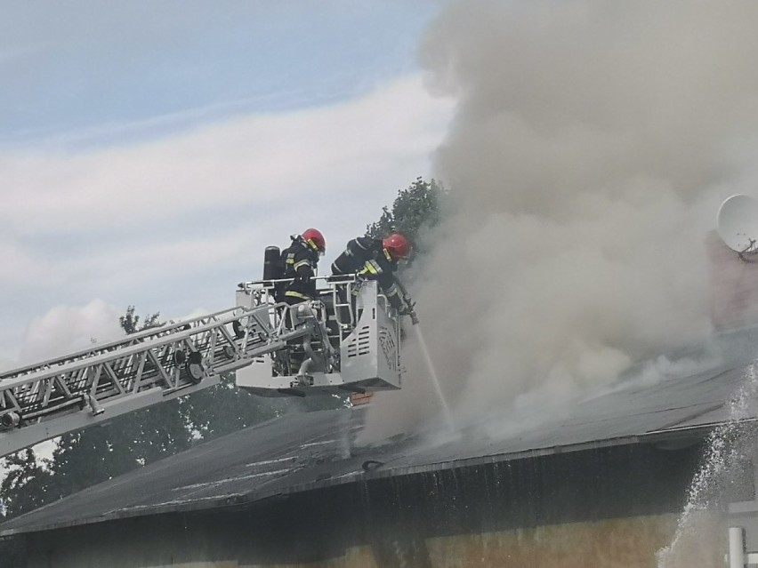 Pożar budynku wielorodzinnego w Jastrzębnikach pod Opalenicą. Dwie osoby poparzone [ZDJĘCIA]