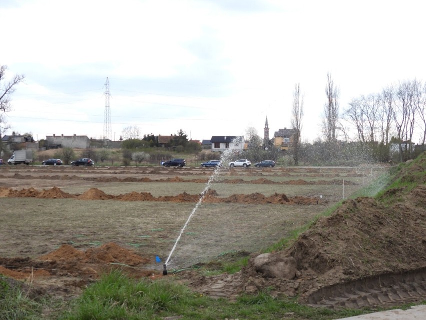 Stoczniowiec Płock będzie miał pełnowymiarowe boisko z naturalną trawą. Rozpoczęto pierwsze prace [ZDJĘCIA]
