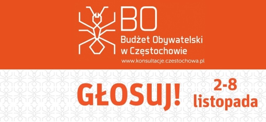 Budżet obywatelski. Ruszyło głosowanie!