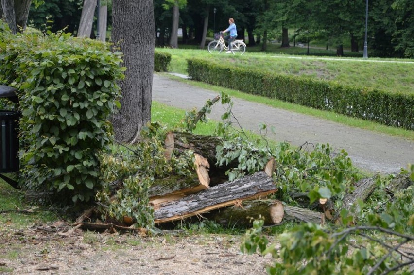 Wielkie sprzątanie po nawałnicy w skierniewickim parku