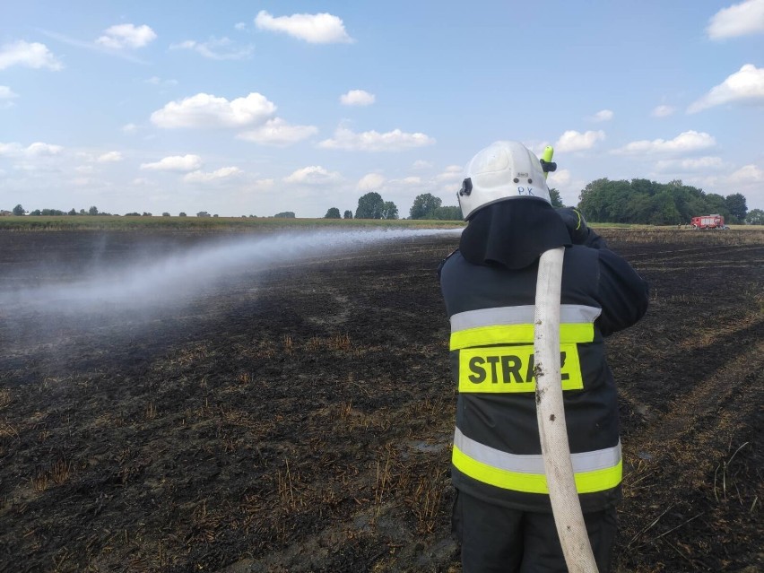 Pożar na polu w Raciborowicach, 17.07.2021