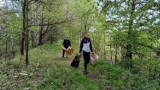 Tak wyglądała akcja sprzątania lasu w Żorach. Wzięło w niej udział blisko 100 osób