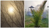 Zimny, mglisty, jesienny poranek na miejskiej plaży w Będzinie. Wyjątkowe widoki, zima powoli się zbliża