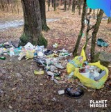 Posprzątali setki śmieci przy wejściu do Książańskiego Parku Krajobrazowego na Podzamczu w Wałbrzychu. Akcja Czysty Wałbrzych 