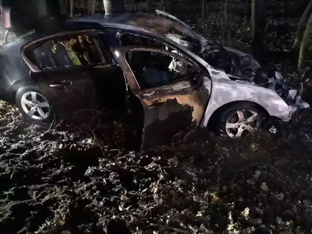 Tyle zostało z samochodu, który spalił się po zderzeniu z drzewem.