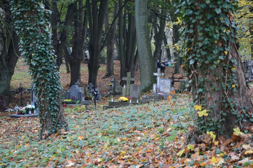Cmentarz Golęciński w Szczecinie