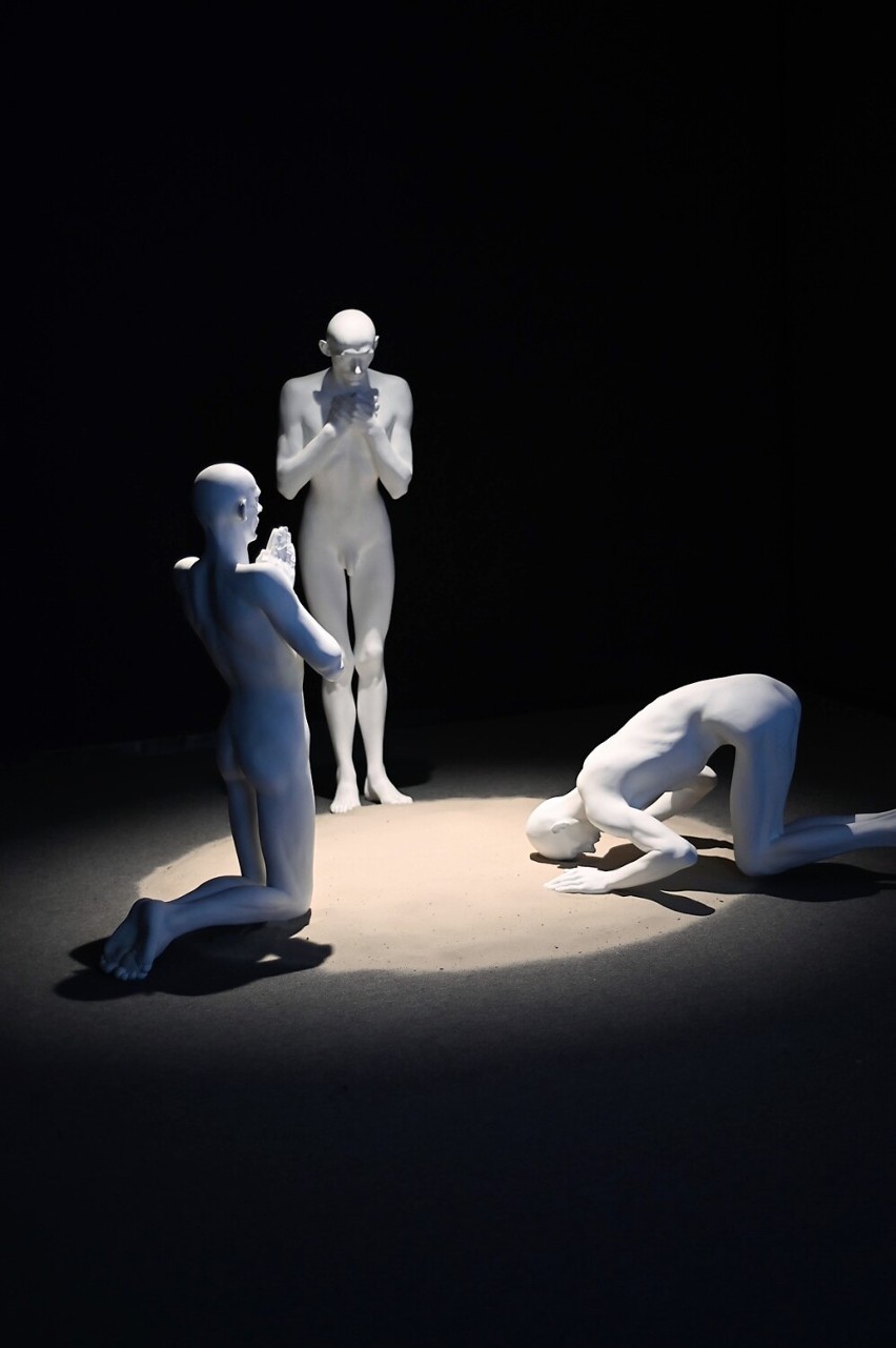 Płocka Galeria Sztuki zaprasza na finisaż wystawy “Całkiem Nowy Człowiek”