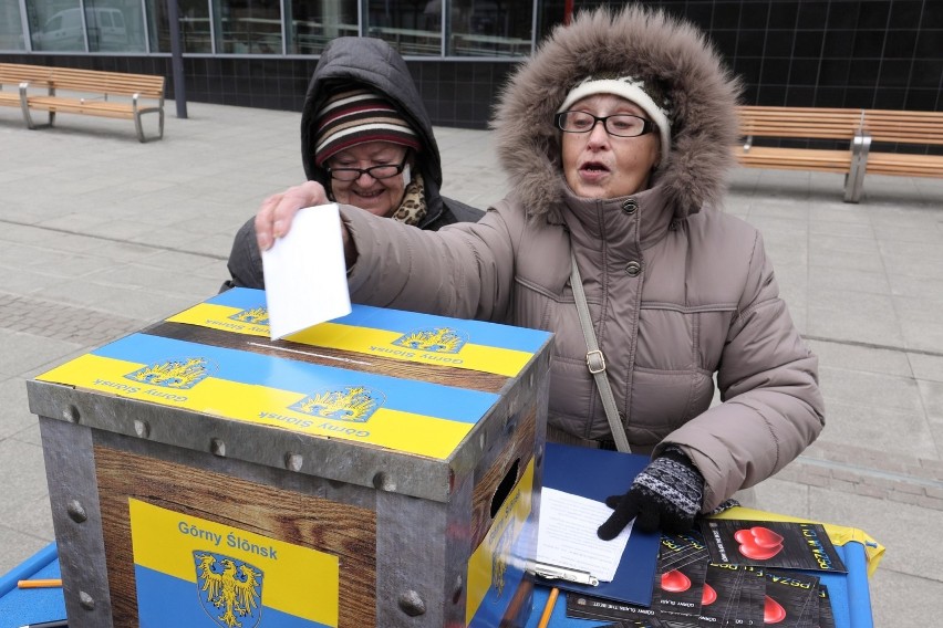 Katowice: Śląsko Ferajna na rynku przeprowadziła głosowanie w sprawie statusu "ślōnskij gŏdki" [ZDJĘCIA]