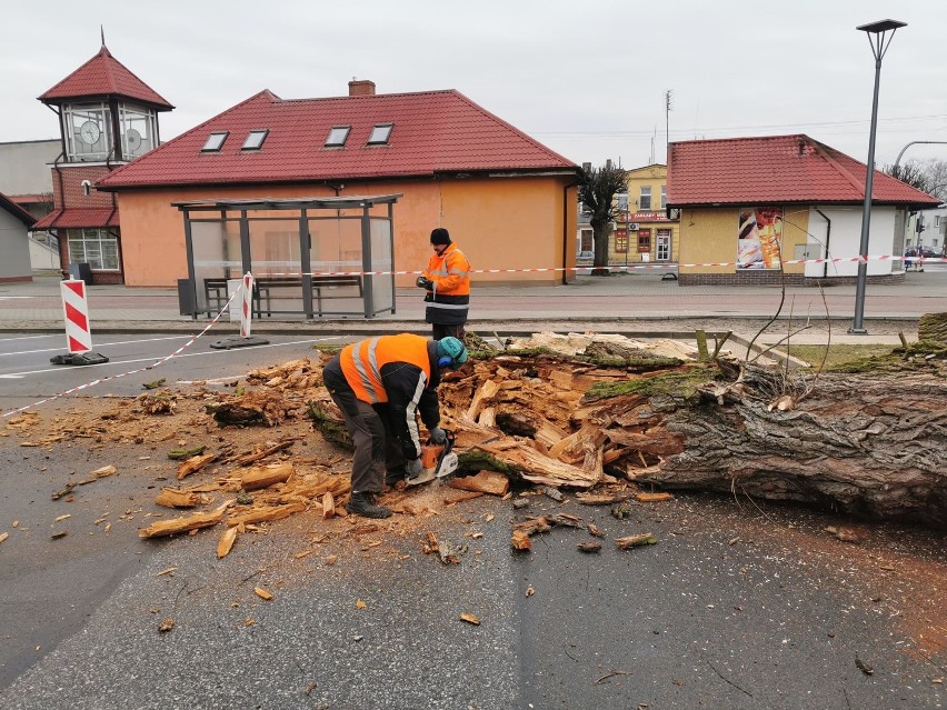 Wycinają drzewa na Rynku w Damasławku. Co jeszcze się zmieni? 