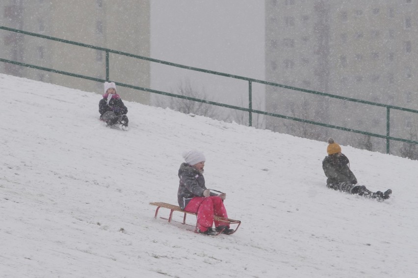 Gdzie najlepiej wybrać się na sanki w Poznaniu? Sprawdzone górki, z których  można pojeździć na sankach, kiedy spadnie śnieg | Poznań Nasze Miasto