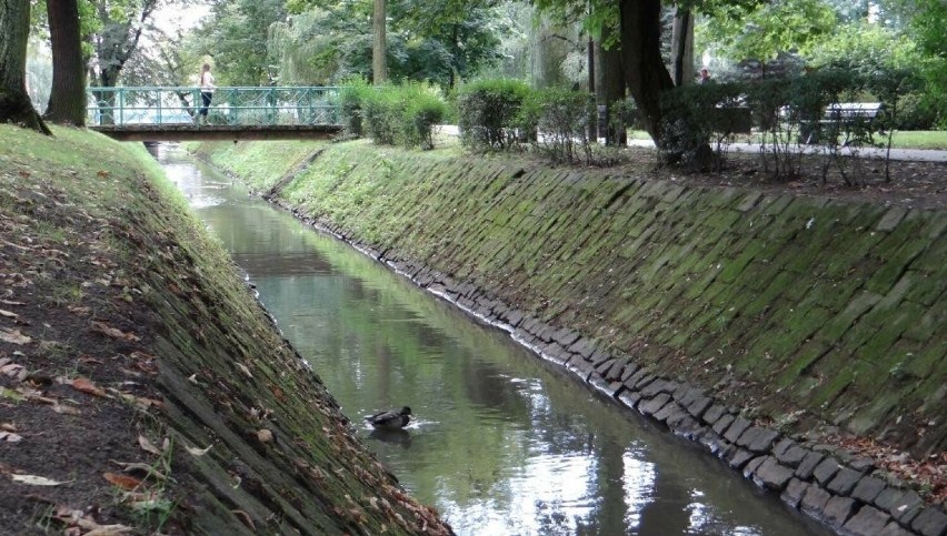 Operacja Czysta Rzeka Radomka, czyli wielkie wiosenne sprzątanie rzeki w Radomsku