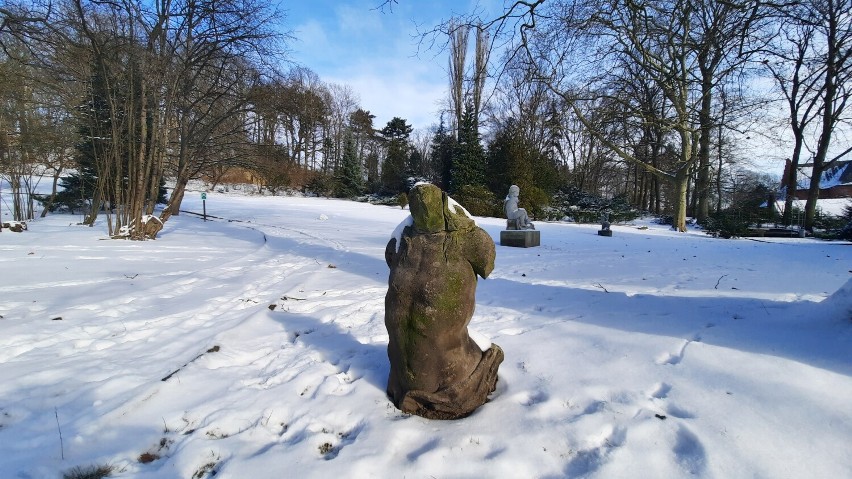 Muzealny ogród pod śniegiem wygląda niezwykle. Warto przyjść...