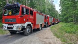 Leśne manewry strażaków w podchodzieskich lasach