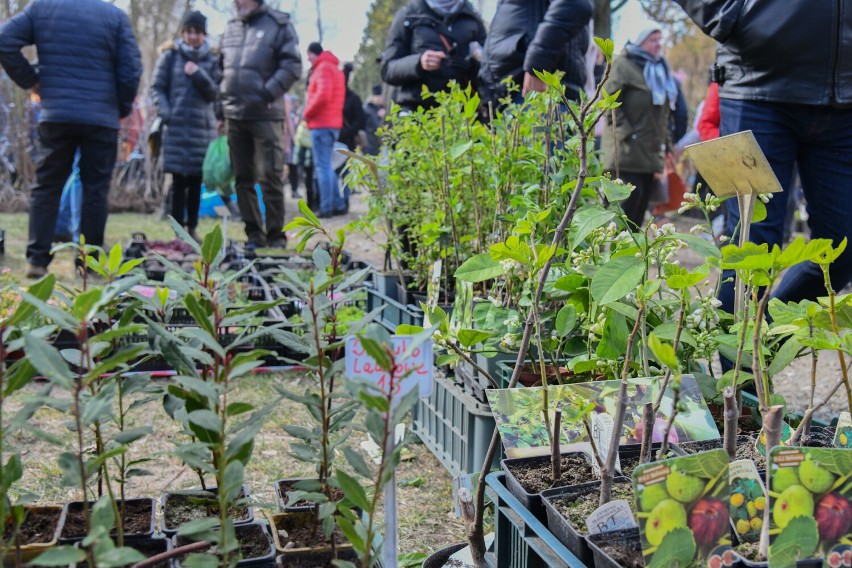Jesienne Targi Rolno-Ogrodnicze Agromarsz 2022 odbędą się 2 października