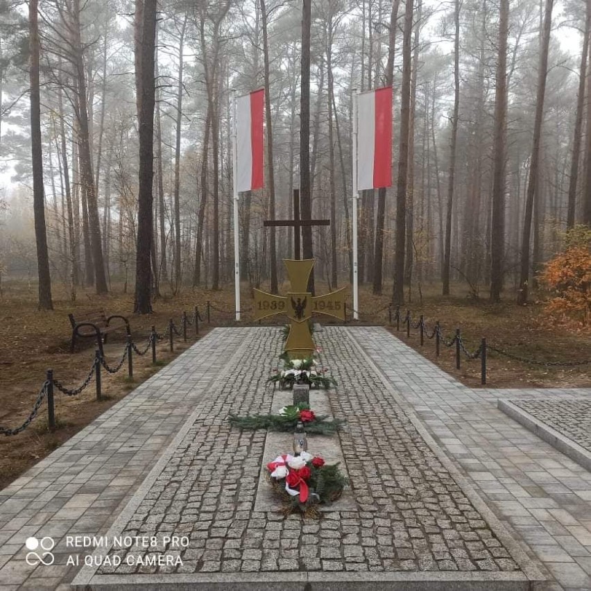 Gm. Obrzycko. Morsy z "Góry Lodowej" oddały hołd pomordowanym w Lasach Kobylnickich