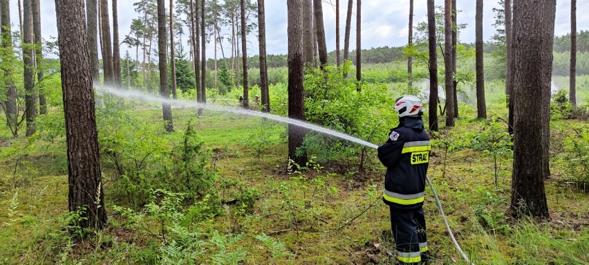 Wolsztyn: Strażacy przeprowadzili zajęcia dla słuchaczy kursu podstawowego