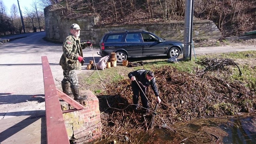 Sprzątanie rzeki Głomii przez PZW Krajna