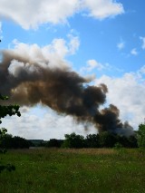 Pali się wysypisko śmieci. "Dym jest ogromny" [ZDJĘCIA]