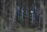 Ogromny pożar lasu w Dubielnie w powiecie świeckim. Z ogniem walczyło 200 strażaków [wideo, zdjęcia]