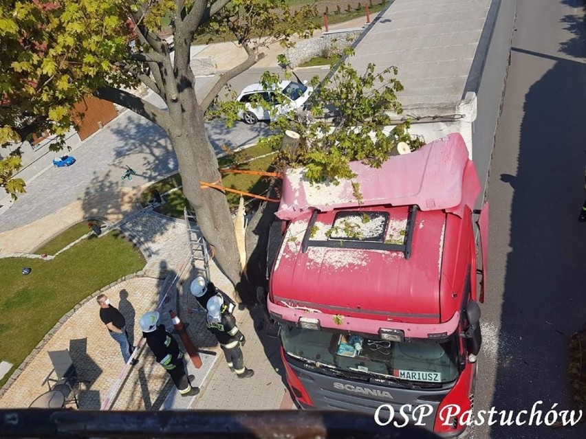 Drzewo spadło na ciężarówkę. Pomagali strażacy (ZDJĘCIA)