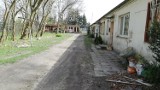 W Chojnicach starosta chce rozbudować bursę kosztem mieszkań [WIDEO]
