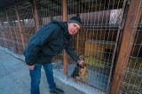 Schronisko dla bezdomnych zwierząt w Starym Sączu przenosi siedzibę w nowe miejsce