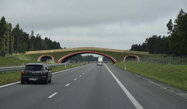 Jak wszystko dobrze pójdzie to nowego wykonawcę GDDKiA ogłosi w czerwcu