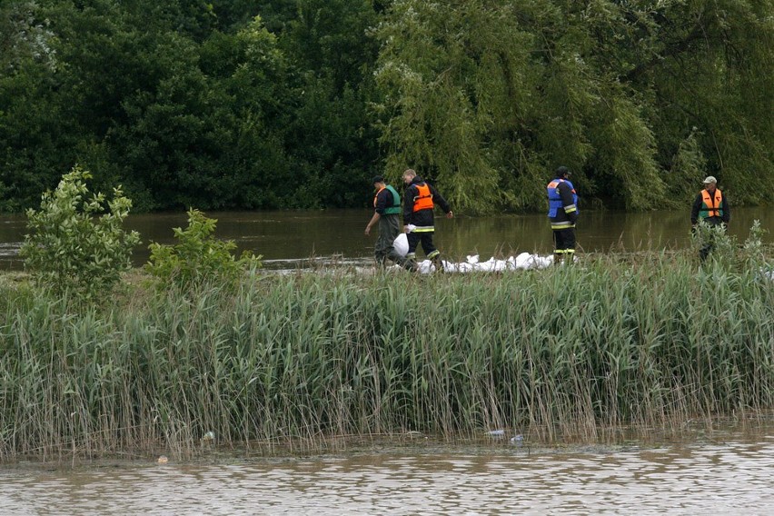 Legnica: Powódź na kąpielisku Kormoran w Legnicy. Czarna woda wylewa