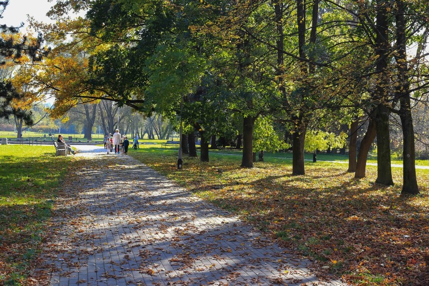 Piękna jesień w Rzeszowie, trzeba korzystać z pogody! [FOTO]