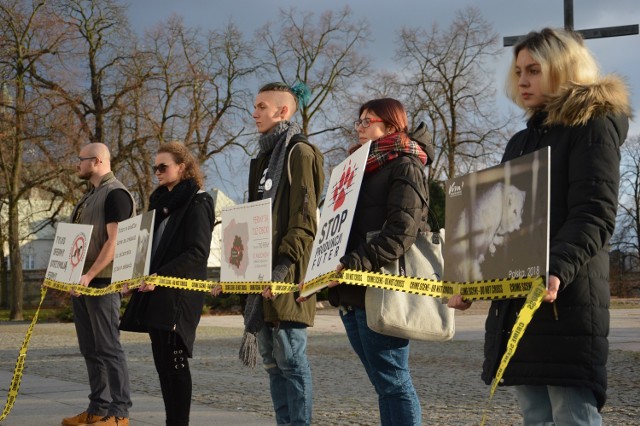 Viva w Piotrkowie przeciw hodowli zwierząt na futra
