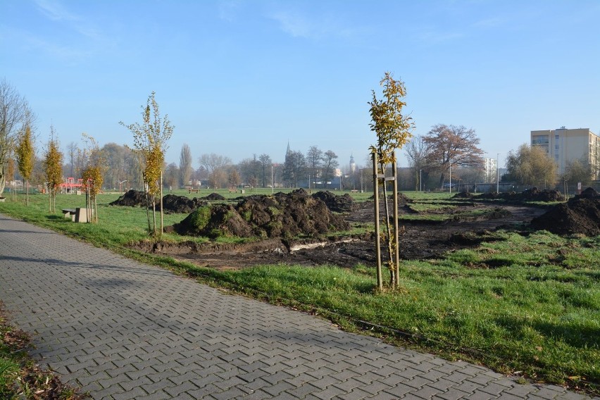 W parku Sulecha w Sulechowie ruszyła budowa pumptracka,...