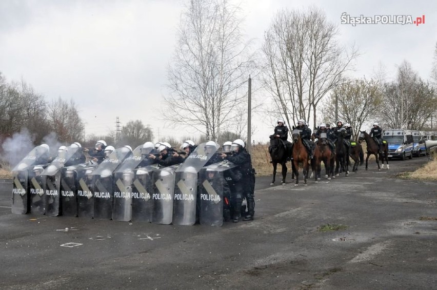 Policyjne konie ćwiczyły w "Pegazie" ZDJĘCIA