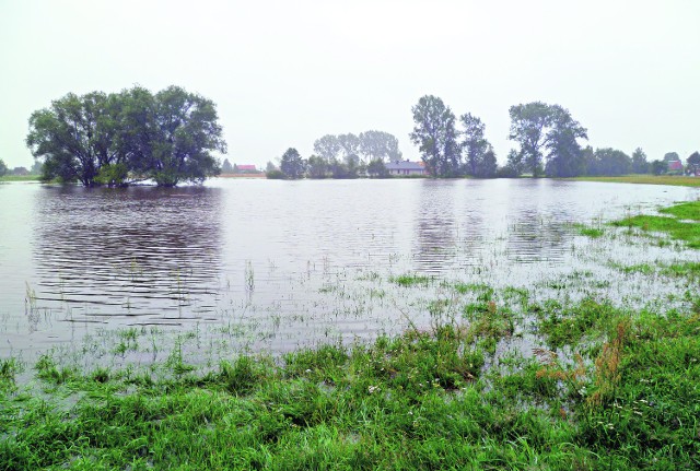 Wystarczy parę deszczowych dni, by miejscowość Stróżki zamieniła się w wyspę. Na okoliczne łąki i pola spływa woda z kilkuset hektarów ziemi położonej nieco wyżej