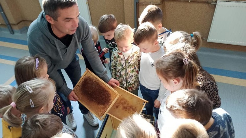 "Pszczoły i miód Made in Wieluń". Obywatelski projekt edukacyjny dla szkół i przedszkoli ZDJĘCIA