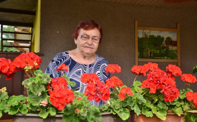 Barbara Jankowska z Kikoła na emeryturze realizuje swoje pasje. Zimą szydełkuje, a od wiosny do jesieni każdą wolną chwilę spędza w ogrodzie. Jej prawdziwą dumą są pięknie kwitnące juki. W tym roku zakwitło ich aż 150! Oczy cieszą również krwistoczerwone pelargonie.