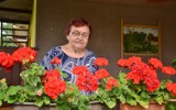 Barbara Jankowska z Kikoła na emeryturze realizuje swoje pasje. Ma 150 pięknie kwitnących juk!