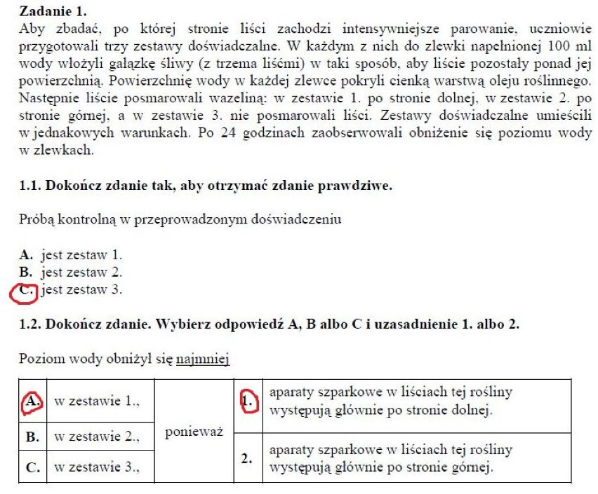 14 listopada 2012 druga część próbnego egzaminu...