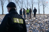 Tragiczny finał poszukiwań w Cieszynie: 23-latek zamordowany i zakopany w lesie w Dębowcu