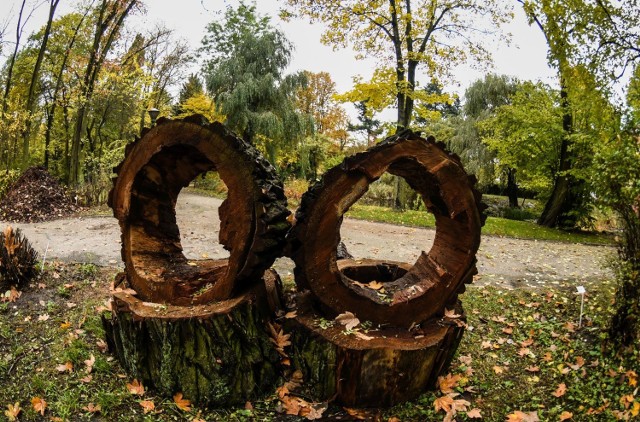 Jesień w bydgoskim Botaniku zagościła na dobre. Niestety, Ogród botaniczny Uniwersytetu Kazimierza Wielkiego będzie ogólnodostępny tylko do końca miesiąca. 

Od 1.XI do najpóźniej 30.IV zamknięty będzie dla osób prywatnych, udostępniany będzie tylko do badań i dydaktyki i grupom zorganizowanym w celach edukacyjnych. Spieszmy się podziwiać.


Pogoda na dzień (22.10.2016)  | KUJAWSKO-POMORSKIE
TVN Meteo Active

