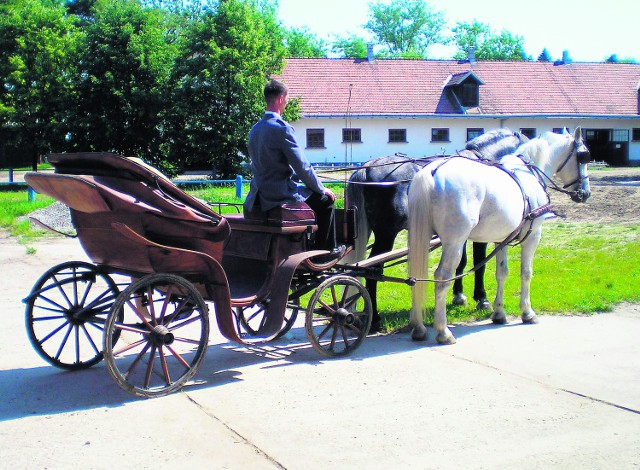 Jedną z turystycznych wizytówek miasta prezentowanych w Krakowie będą zabytkowe powozy ze stadniny w Klikowej