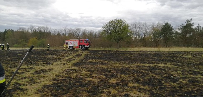 Pożar przy ul. Przemysłowej w Pile [ZDJĘCIA] 