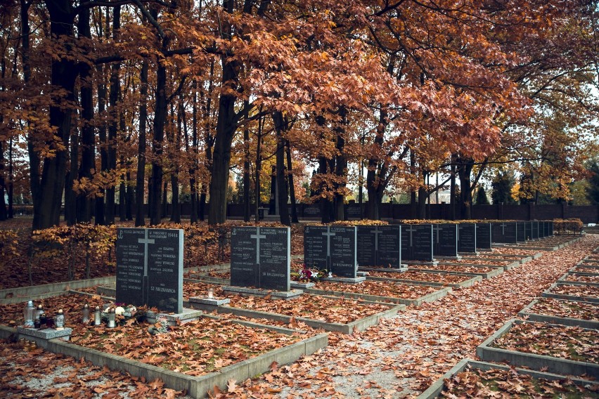 Cmentarz Powstańców Warszawy. Jednego dnia pochowano tu 15 tys. osób. "To był największy pogrzeb w Polsce"