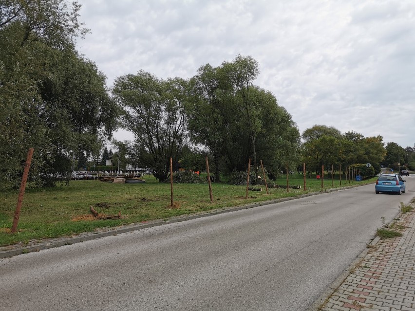 Ruszyła wycinka drzew przy ul. Hernes w Chrzanowie