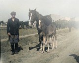 79 lat temu Rosjanie zajęli Busko. Zobacz jak wyglądało i żyło miasto podczas II Wojny Światowej. Oto unikalne, kolorowe zdjęcia 