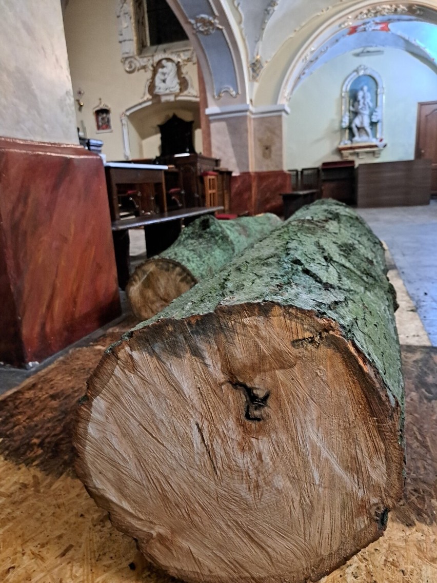 Wnieśli do kościoła w Pleszewie dwie kłody drewna. Do czego...