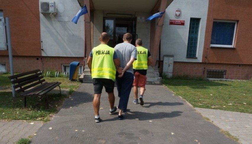 Policja z Mikołowa zlikwidowała plantację marihuany - służby zabezpieczyły 24 krzewy konopi WIDEO + ZDJĘCIA