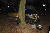 Wypadek w Prażkach: Samochód uderzył w drzewo
