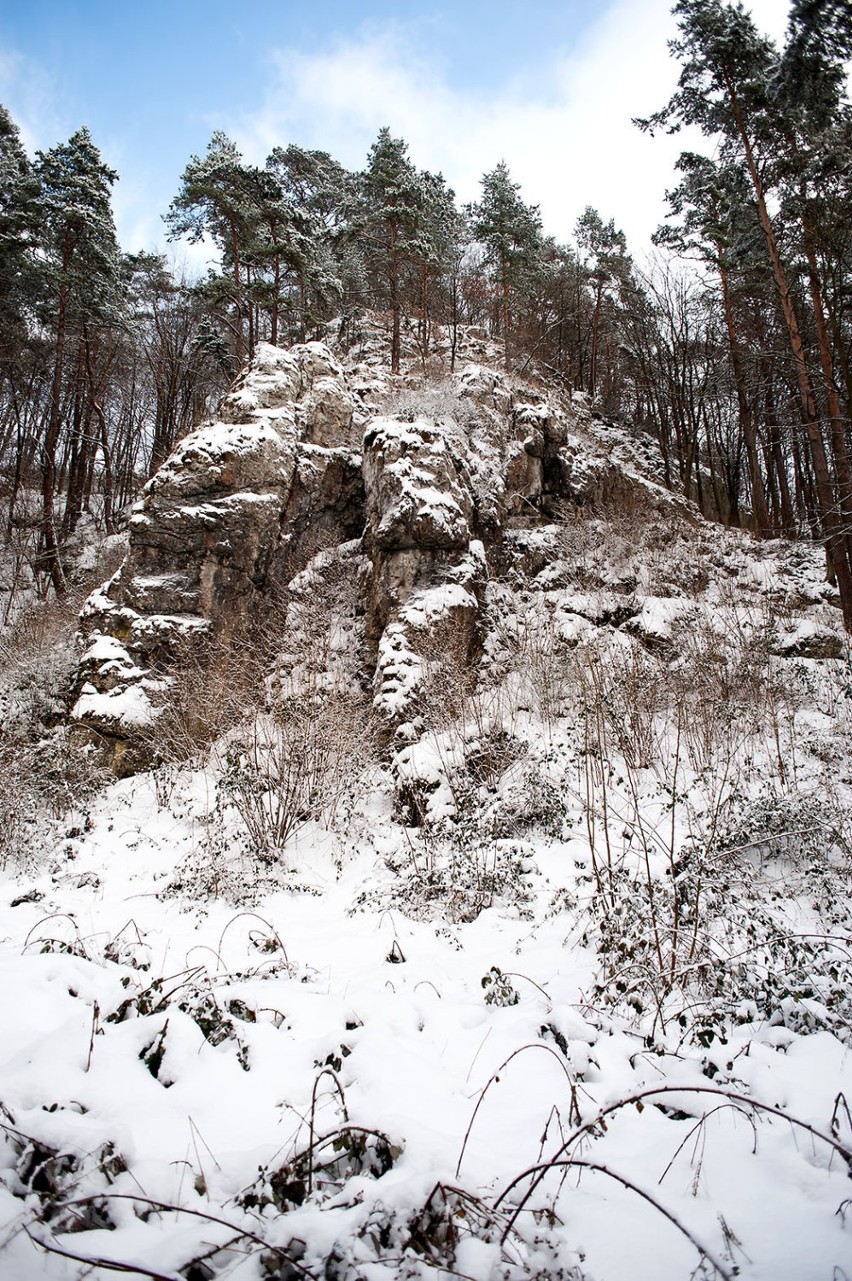 Malownicza zima w Dolinkach Podkrakowskich [ZDJĘCIA, WIDEO]